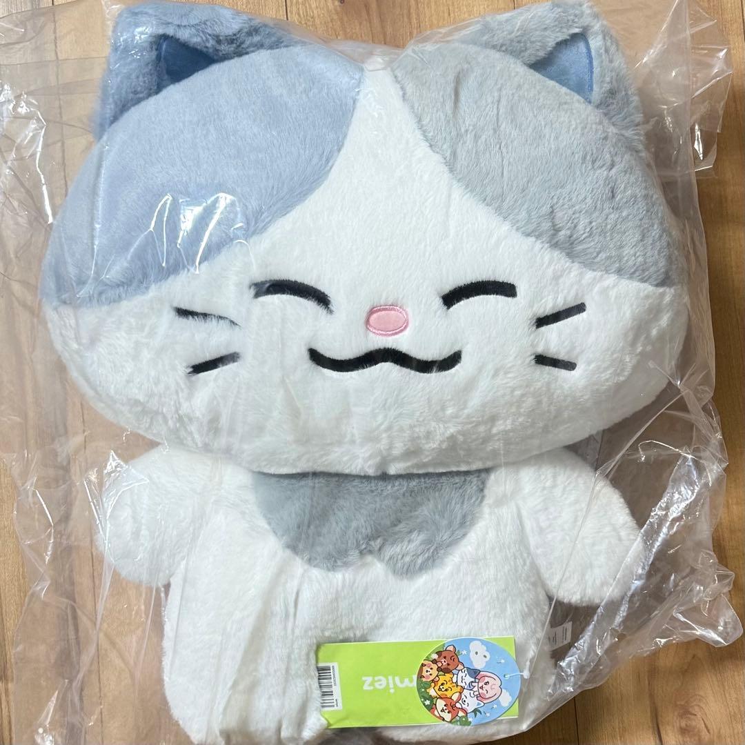 NCT DREAM Dreamiez フラットぬいぐるみ クッション チョンロ