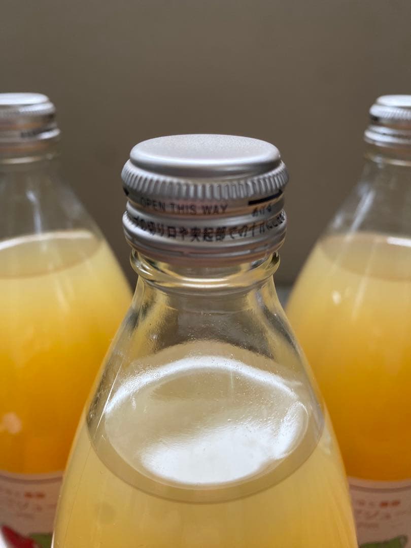 青森県産 りんごジュース 100%ストレートタイプ