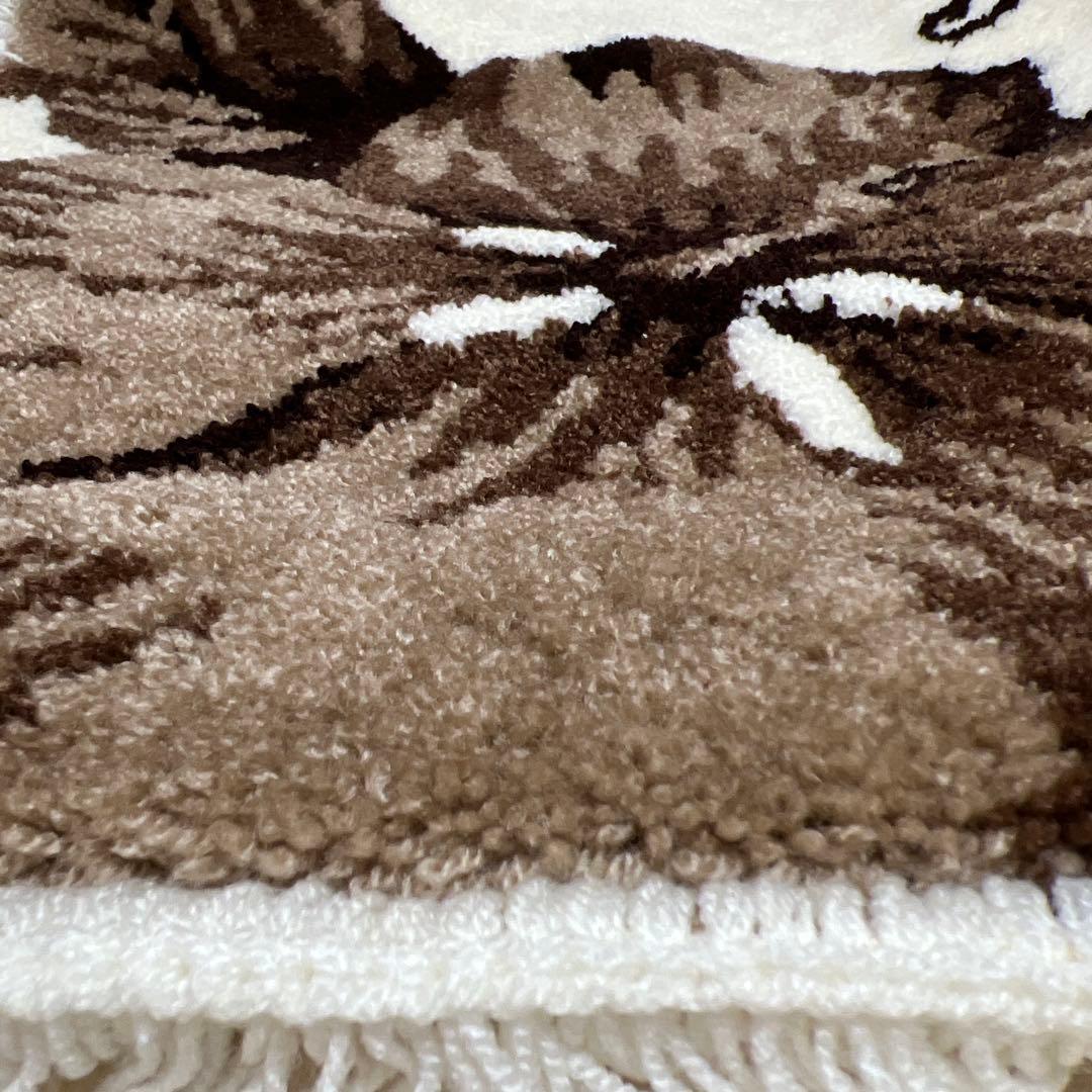 ‼️超目玉商品‼️ALBA ROSA玄関 マット‼️