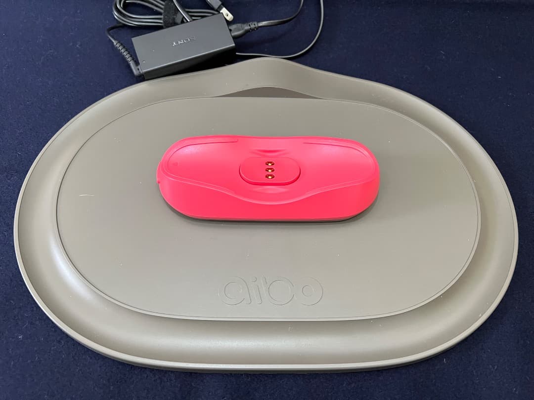 美品　期間限定　ソニーアイボAIBO　アイボリーホワイト　動作確認済【匿名配送】