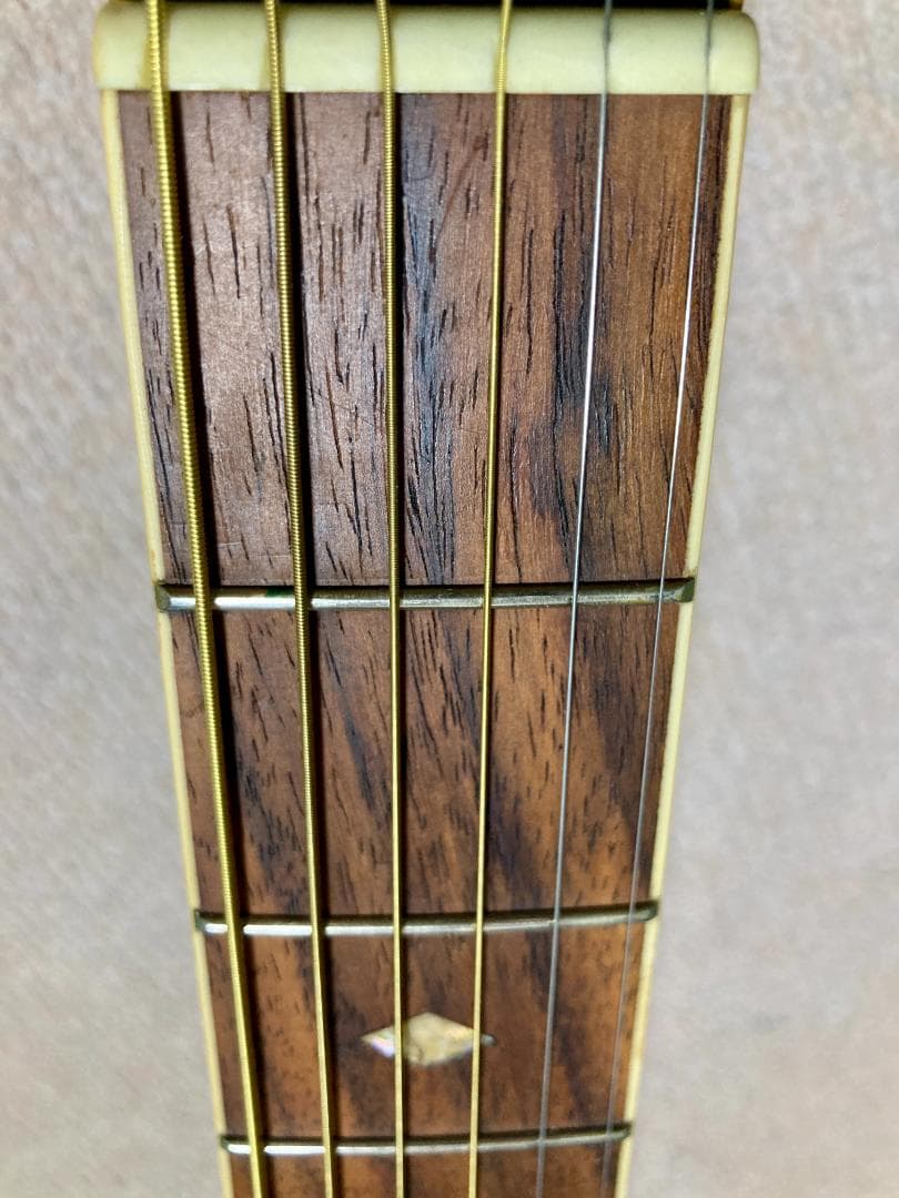 Pro Martin CUSTOM エレアコ EA 450　虎杢