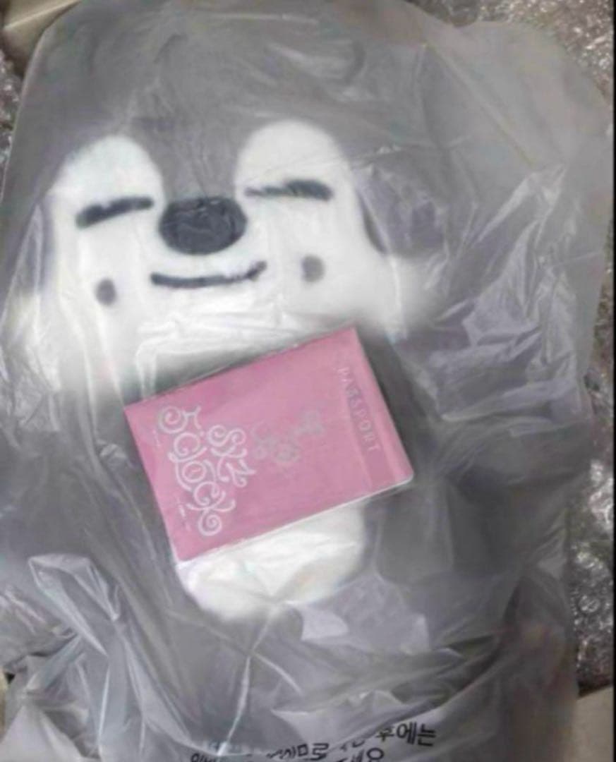 straykids スキズ テディベア SKZOO ウルフチャン　teddy