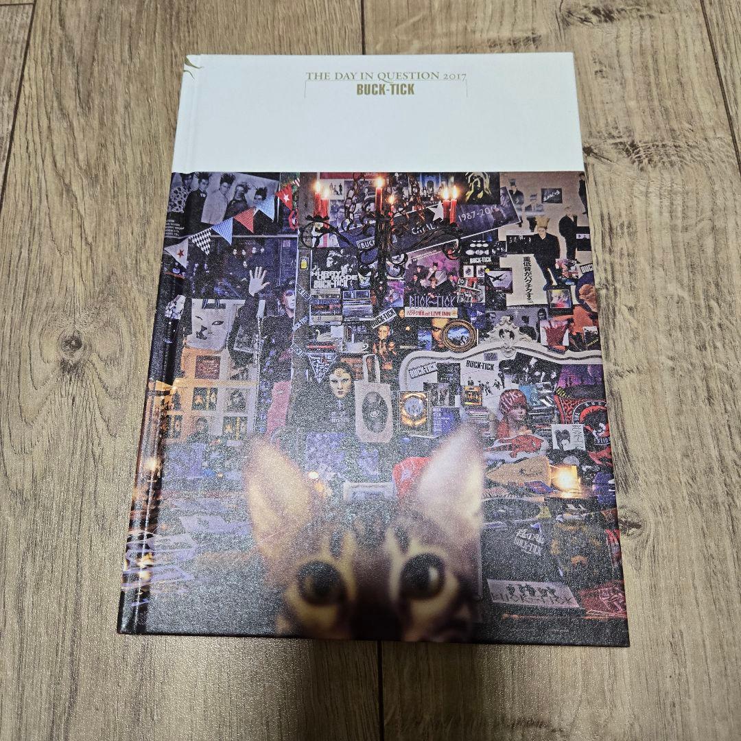 アイドル THE DAY IN QUESTION 2017