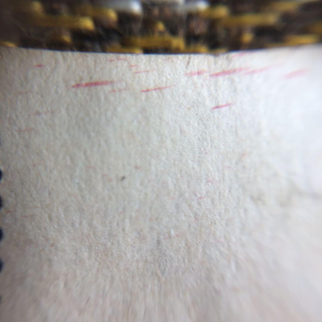 珍品！エラー切手 切手にも耳紙にもインクかすれ多数！12枚ブロック！東照宮陽明門