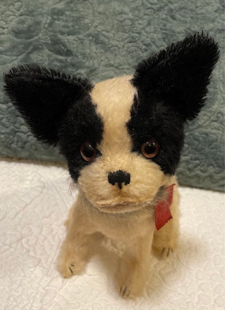 KEITA BEAR さんの犬のぬいぐるみ　ケイタベア