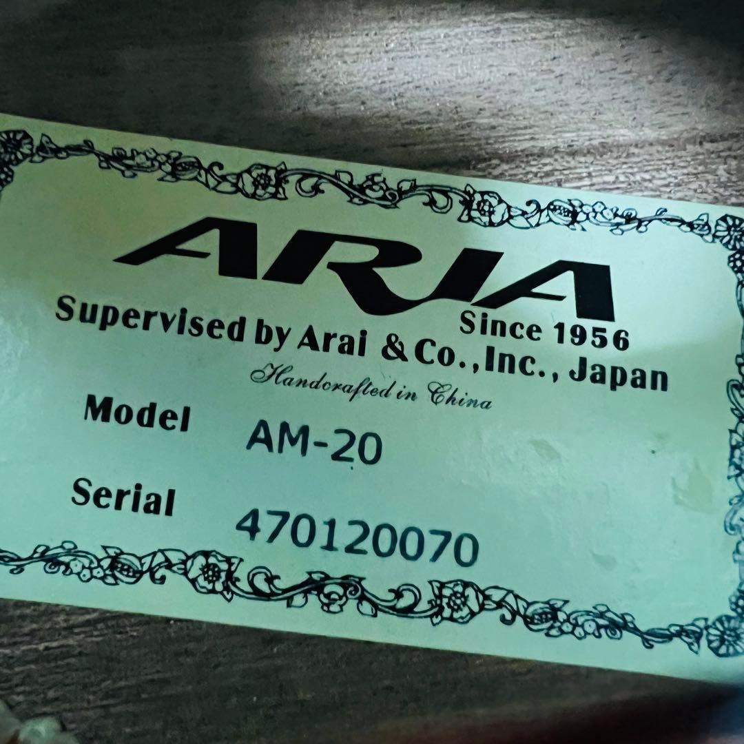 ARIA AM-20 マンドリン 8弦 ハードケース付