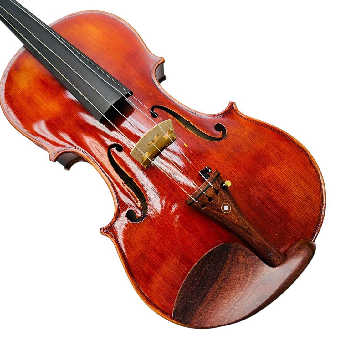 Paganini パガニーニ　ヴァイオリン　PVS200 4/4