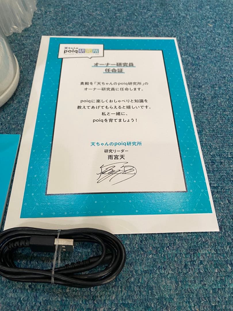 SONY ポイック(poiq) サービス終了品