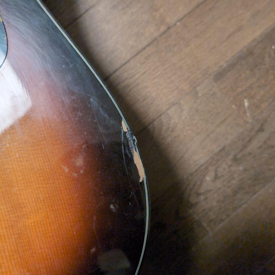 Morris エレアコ アコースティックギター M-51GT