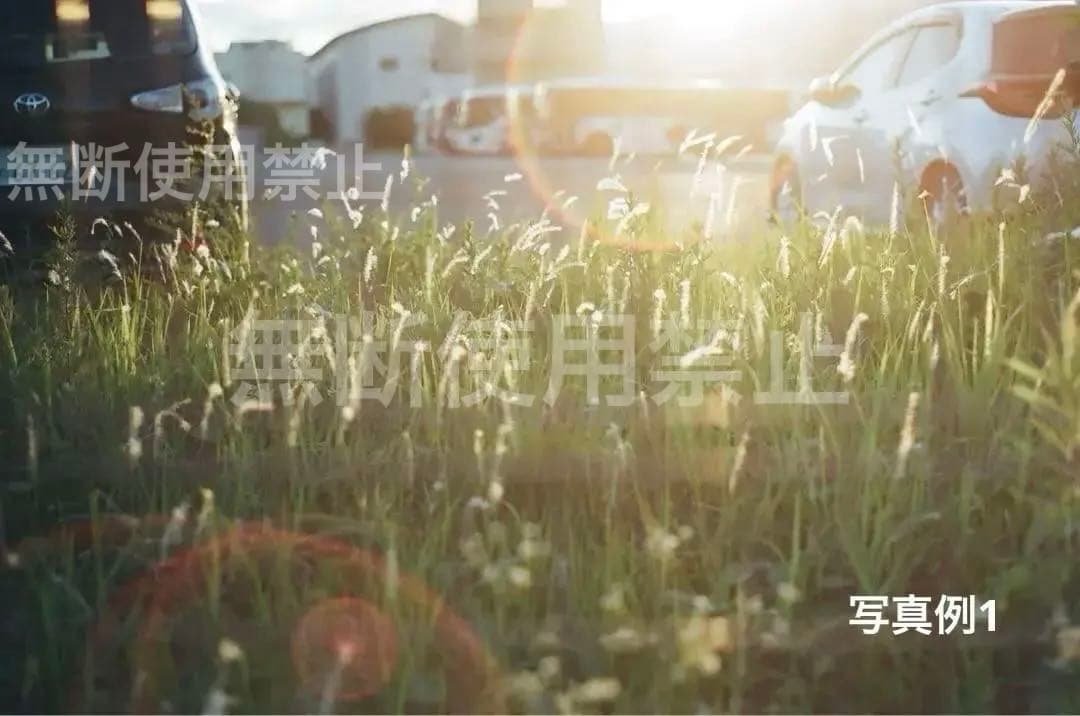 PENTAXSP一眼レフ標準レンズ付きフィルムカメラ　動作確認済み