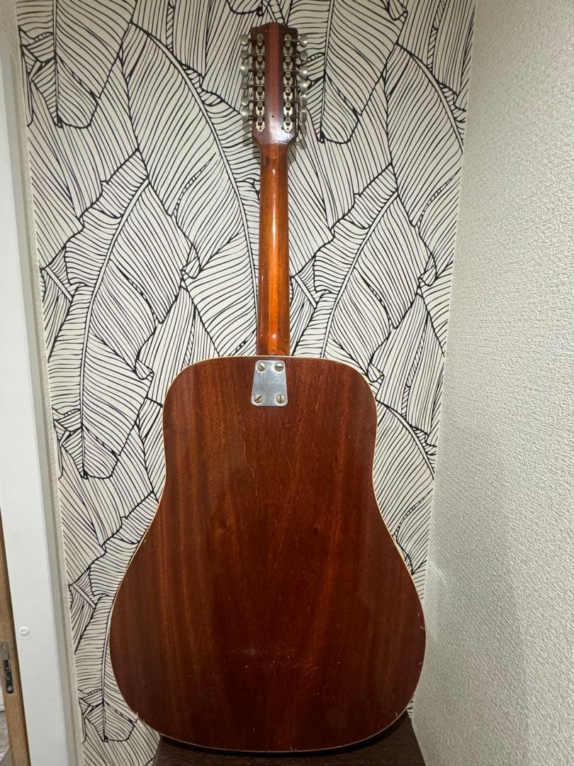 カスタマイズ アコースティックギター Eko Ranger XII