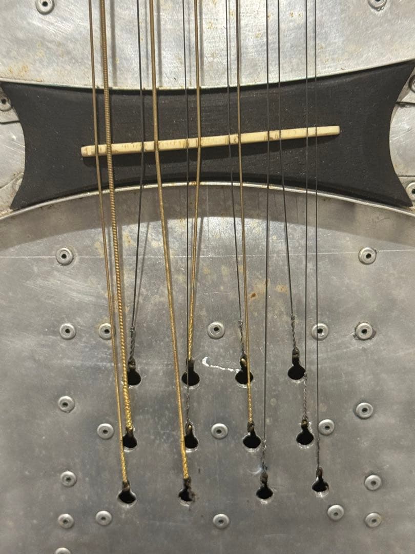 カスタマイズ アコースティックギター Eko Ranger XII