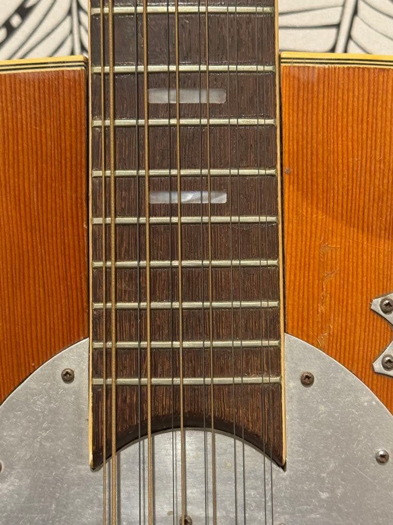 カスタマイズ アコースティックギター Eko Ranger XII