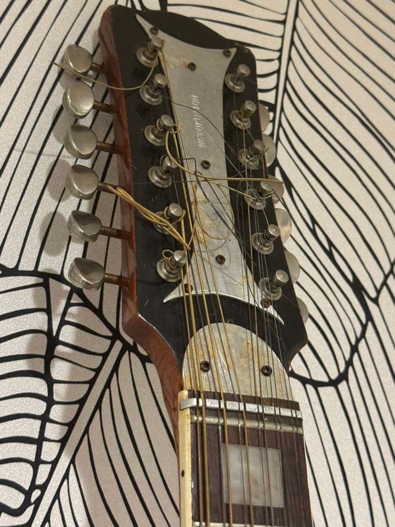 カスタマイズ アコースティックギター Eko Ranger XII