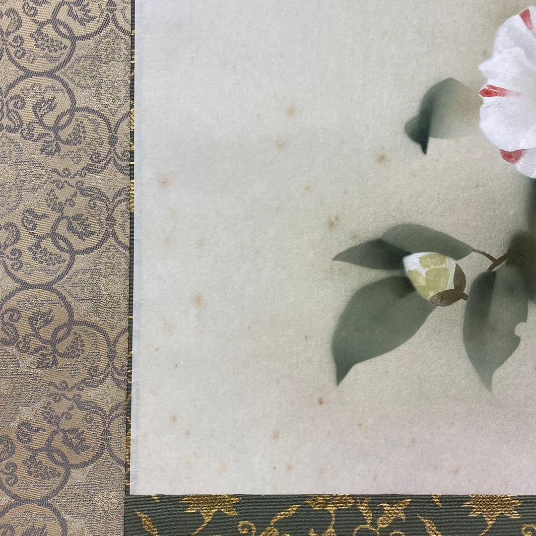 掛け軸 中川幸彦作「椿」共箱 太巻き付 二重箱 美術年鑑掲載