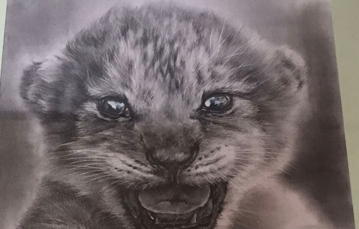 鉛筆画　ライオン　赤ちゃん