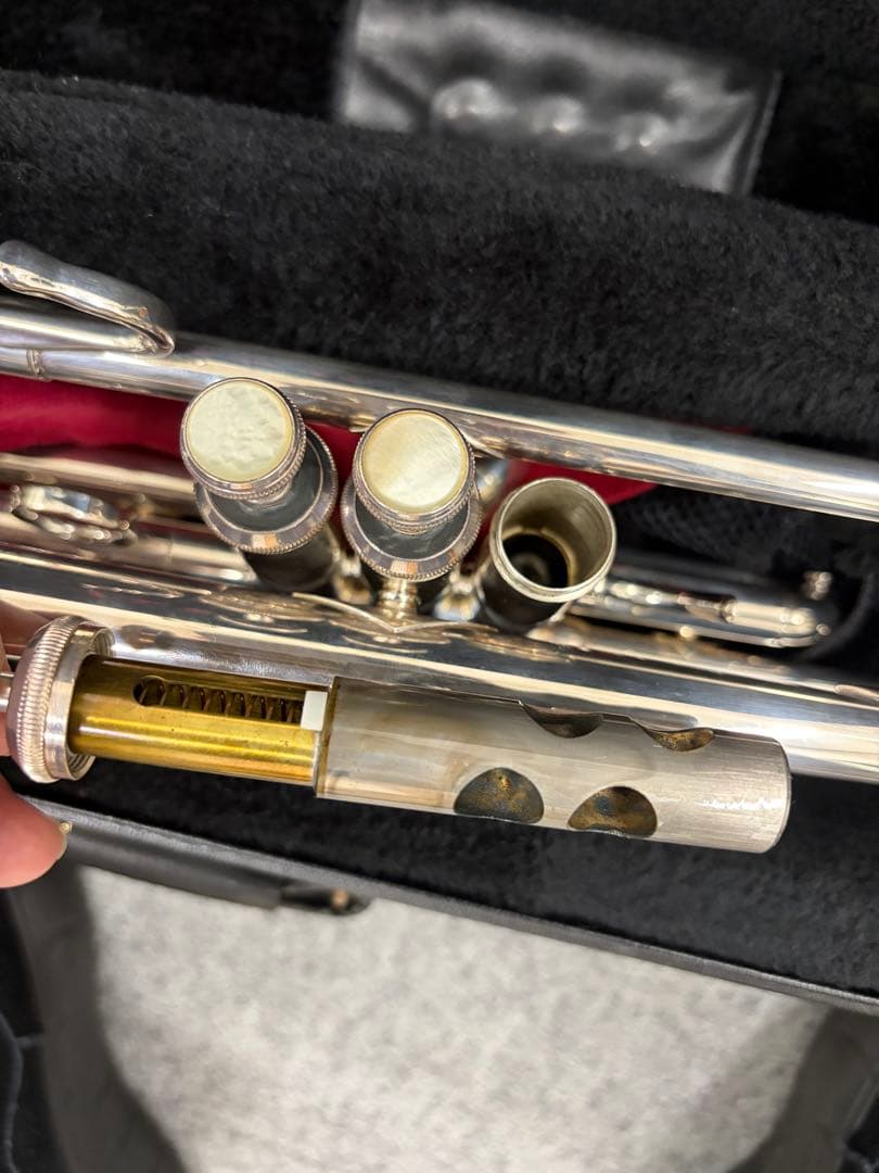 ぽぽちゃん バックトランペット