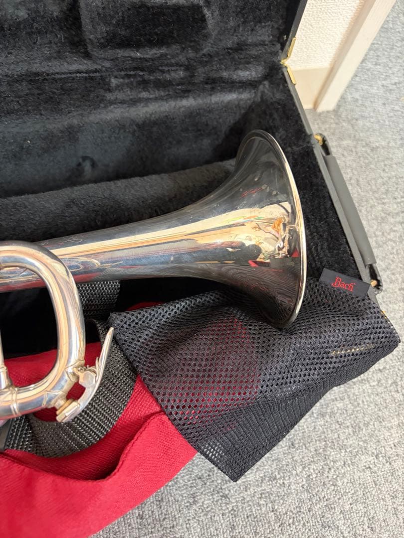 ぽぽちゃん バックトランペット