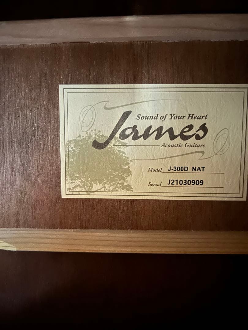 James J-300D NAT アコースティックギター ギグバッグ付き