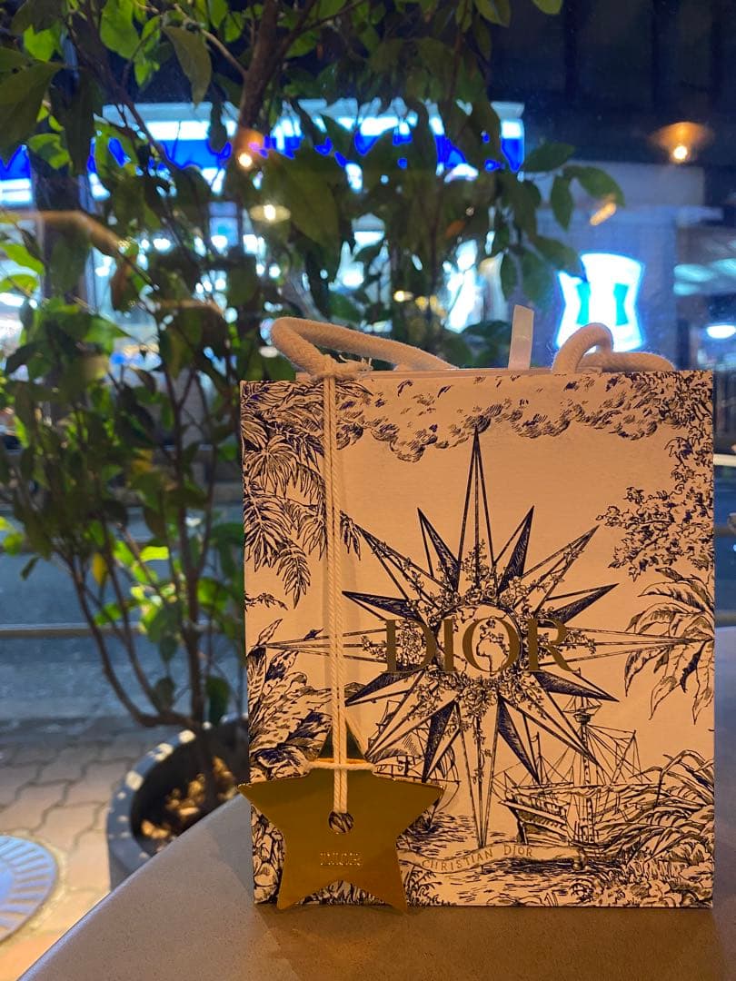 あ*か様 Dior Dio(r)evolution ピアス