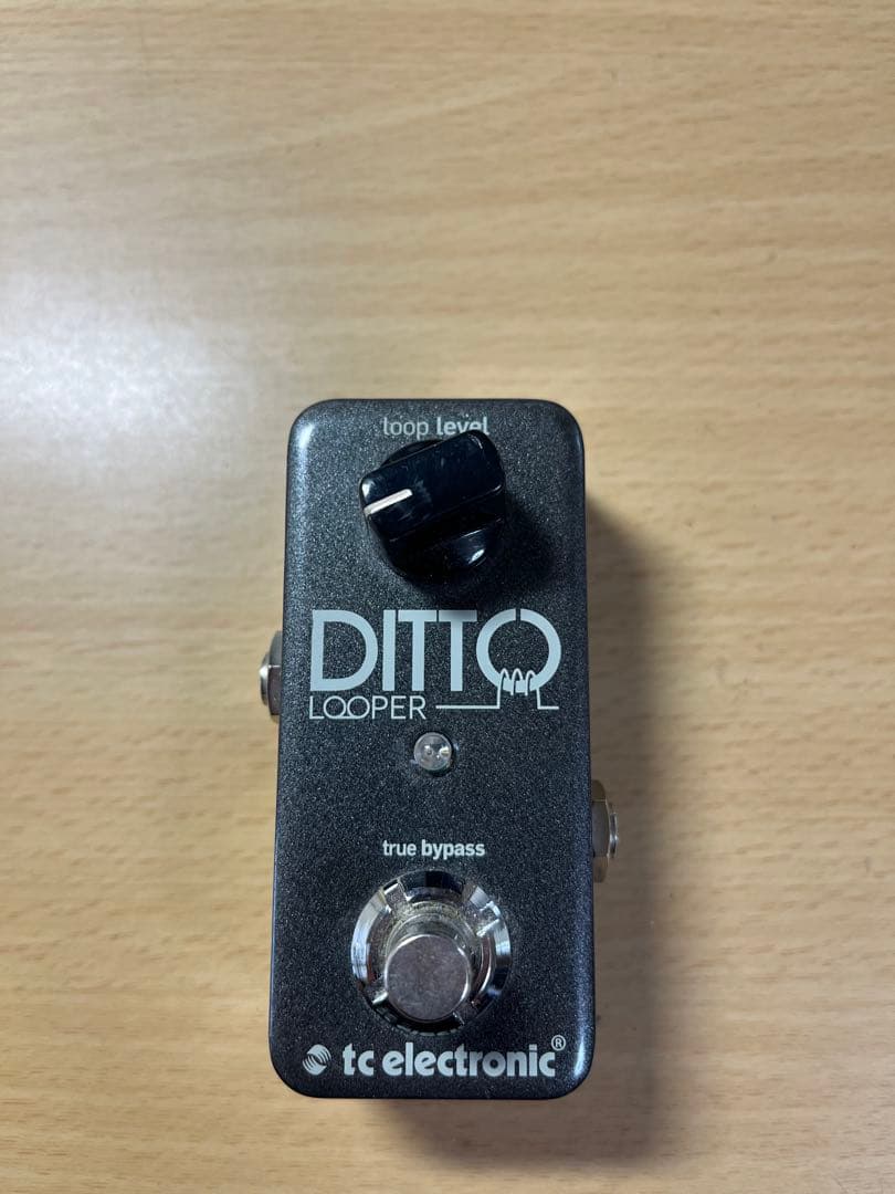 tc electronic DITTO LOOPER 箱付き