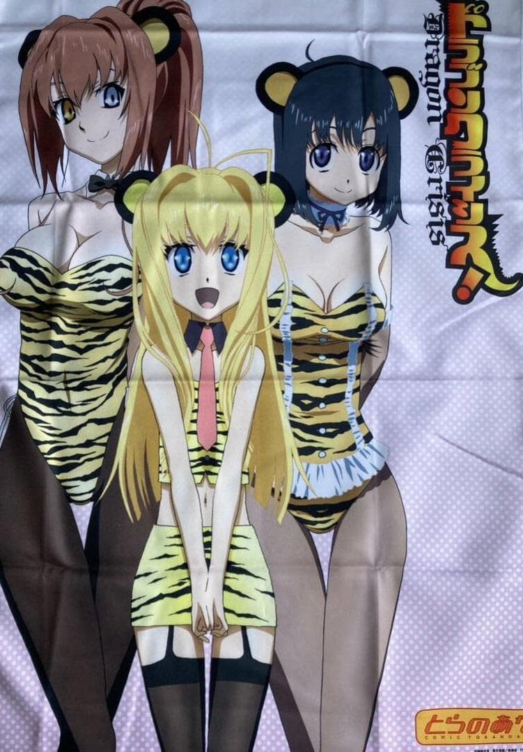 ドラゴンクライシス! とらのあな 全巻特典 描き下ろし マイクロファイバータオル