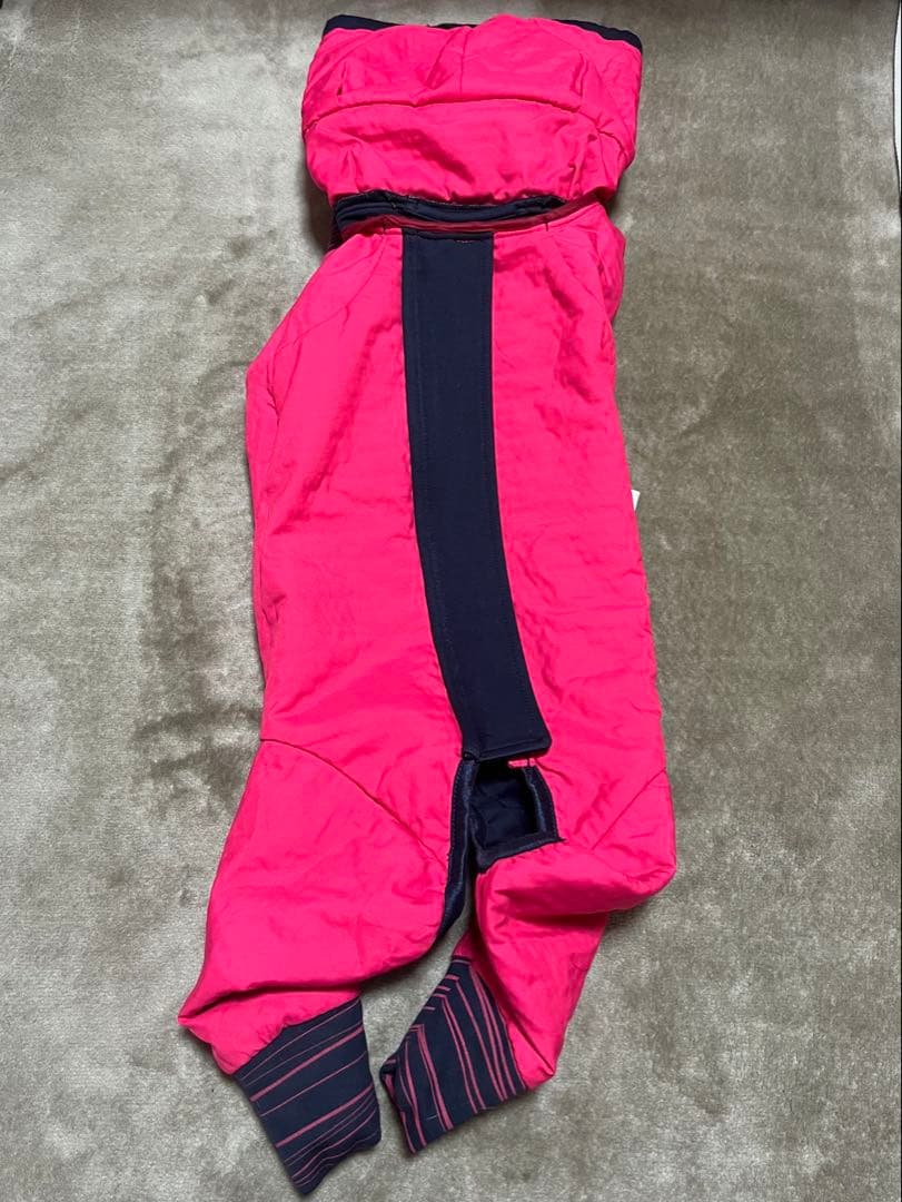 アルファアイコン スノードックガード