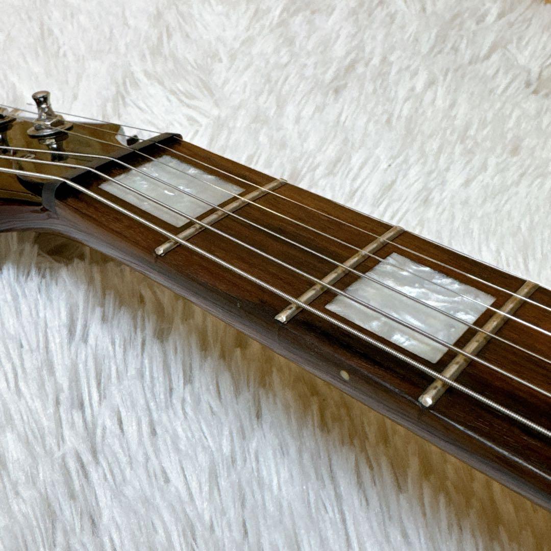 Playtech/プレイテック LP-500 Premium ホロウボディP90