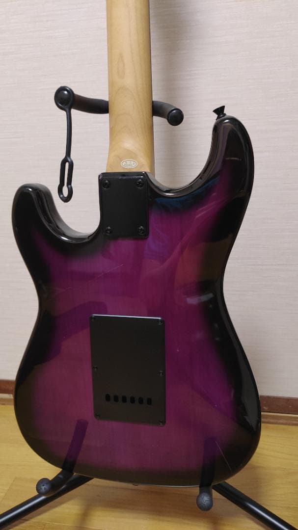 Selder エレキギター (8点セット)