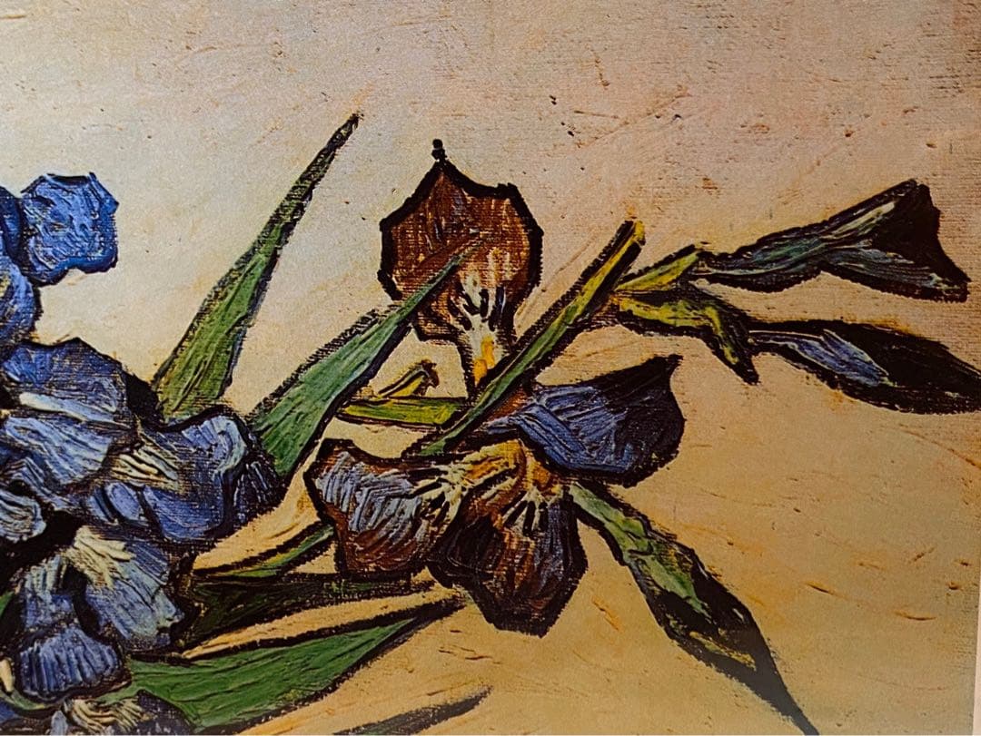 ゴッホ アイリス 花瓶　アイリスのある花瓶 インテリア 額縁