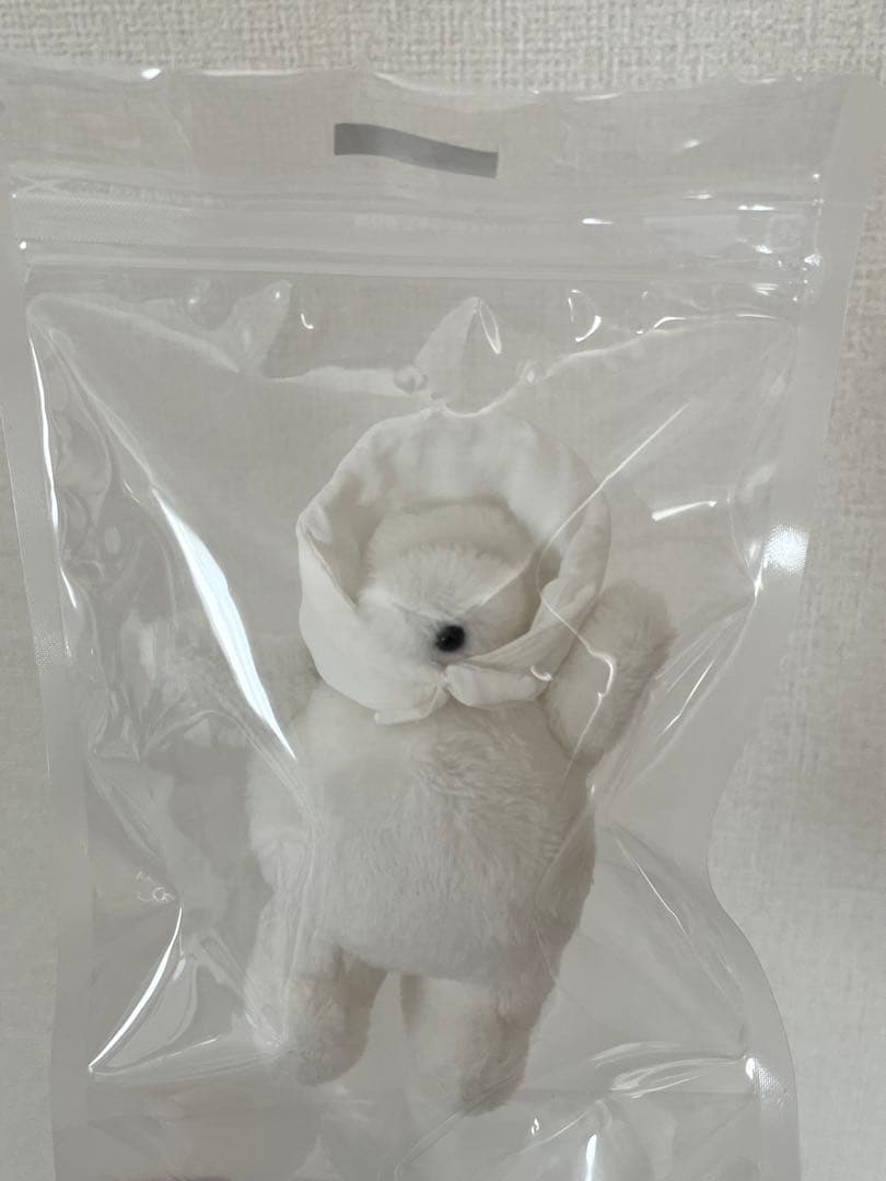 たまもの　空想アパートメント　カネヒラさん