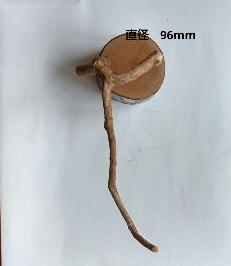 バードカービング　シジュカラ　オス、メス