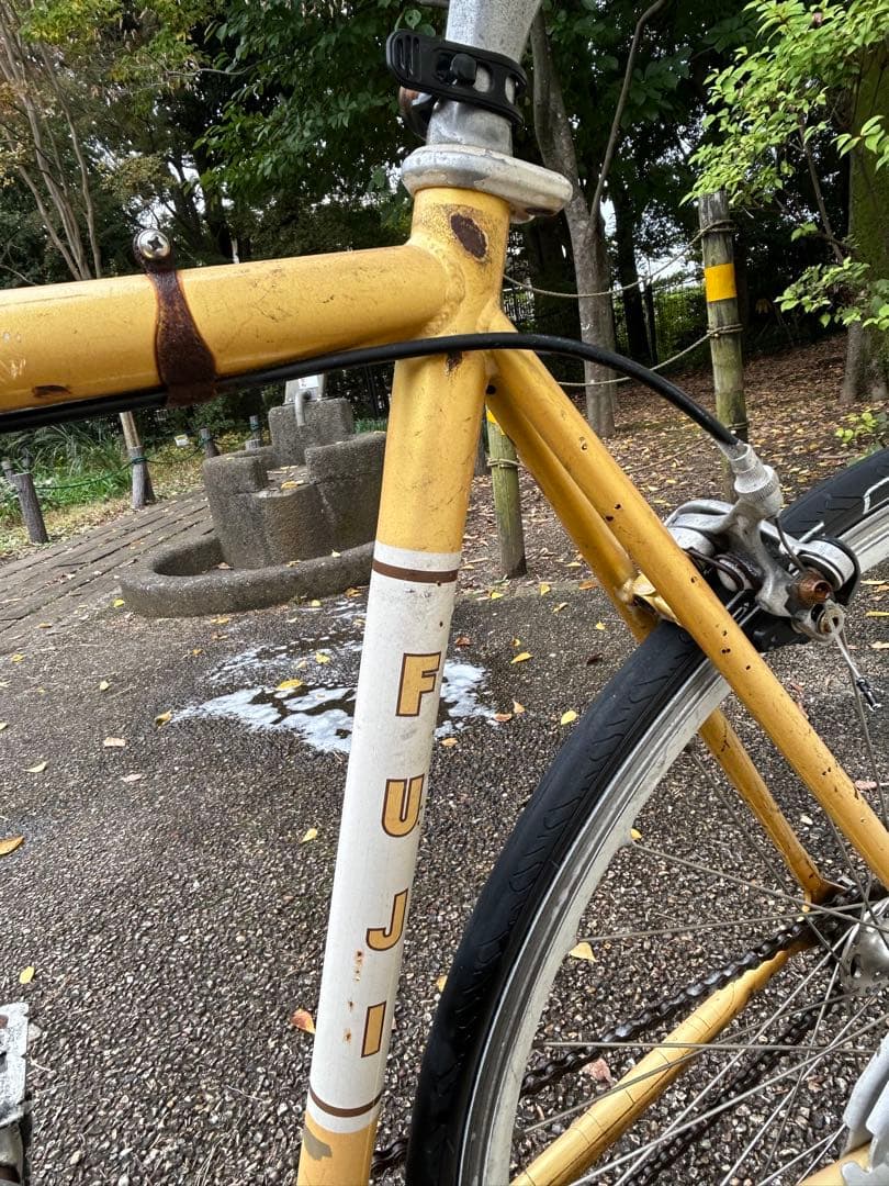 Fuji feather マスタードイエロー