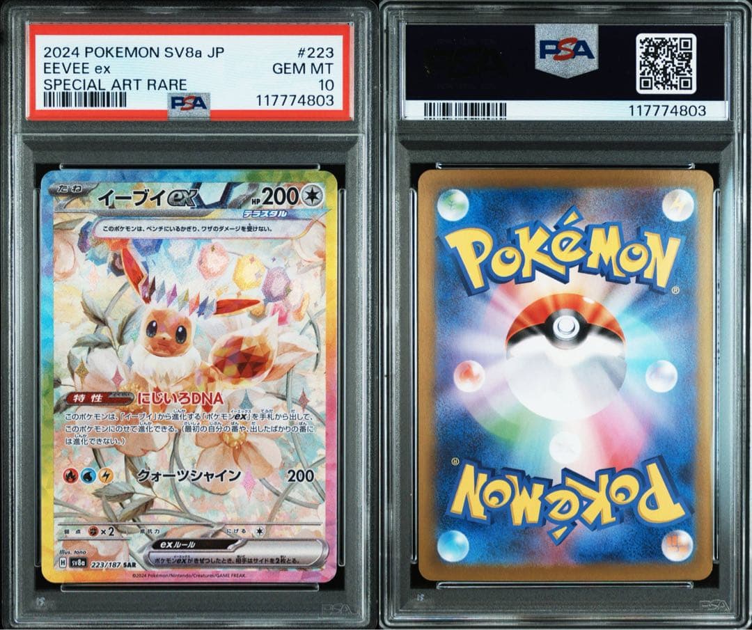 【オールpsa10】テラスタルフェスex ブイズex 10連番