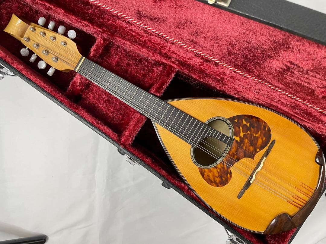 SUZUKI/スズキ クラシックマンドリン M-100