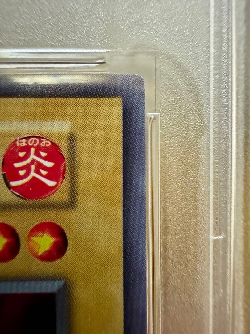 【PSA10】ヤマドラン（初期）