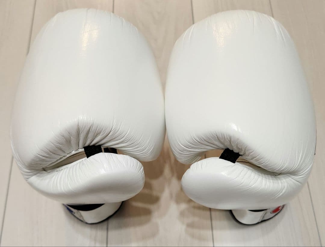 Fairtex ボクシンググローブ BGV1　16oz