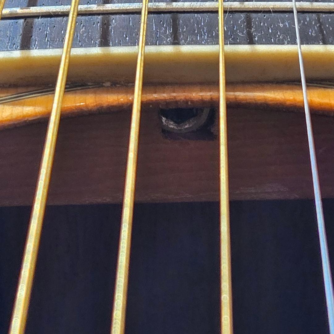 希少 TF MORRIS W-50 アコースティックギター ビンテージ