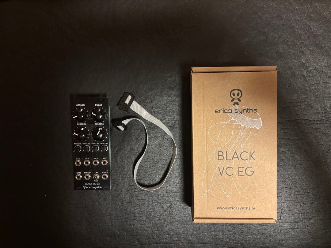 鍵盤楽器 Erica Synths BLACK VC EG