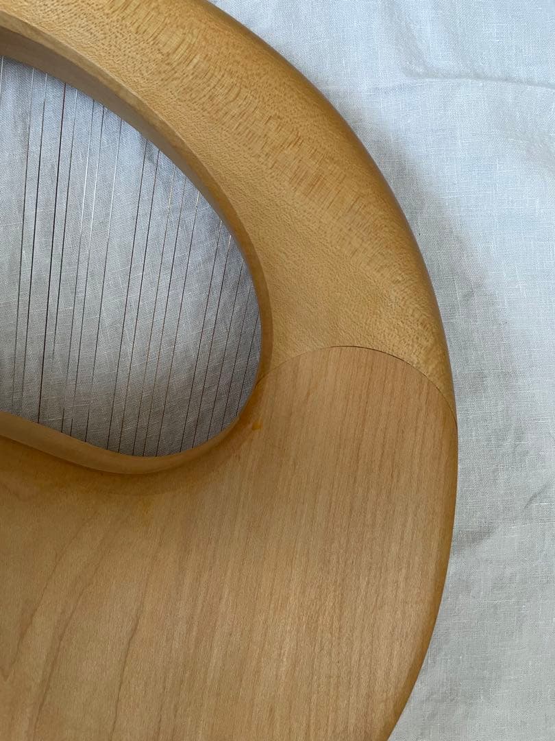 ザーレムライアー　SALEM 27弦