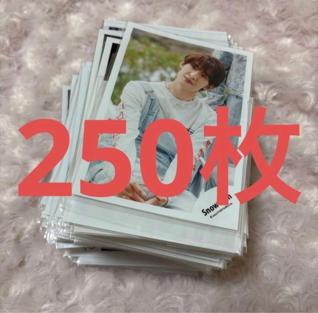 Man 向井康二 公式写真 真四角フォト まとめ売り 250枚セット