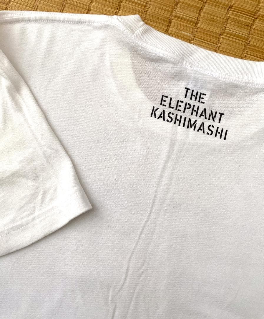 ◉ エレファントカシマシ　デビュー30周年 野音Tシャツ（L）※古着
