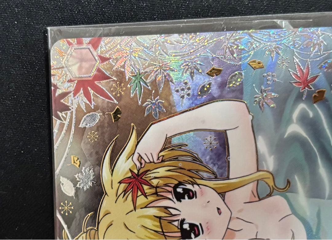 これからのことフェイト PR+ 未開封