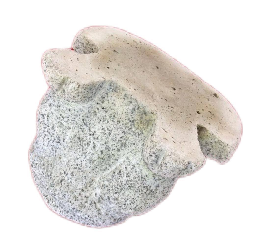 イボ蛙の石像風の置物 コンクリート製 かえる 庭石 庭園 飾り ガーデニング