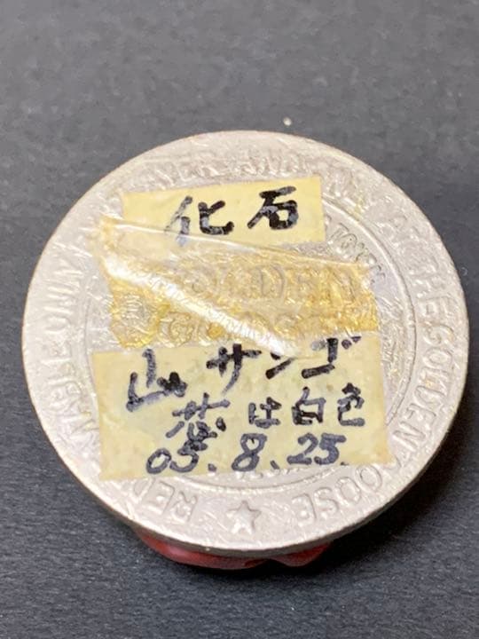 蛙　彫刻　　置物　赤い山サンゴ珊瑚