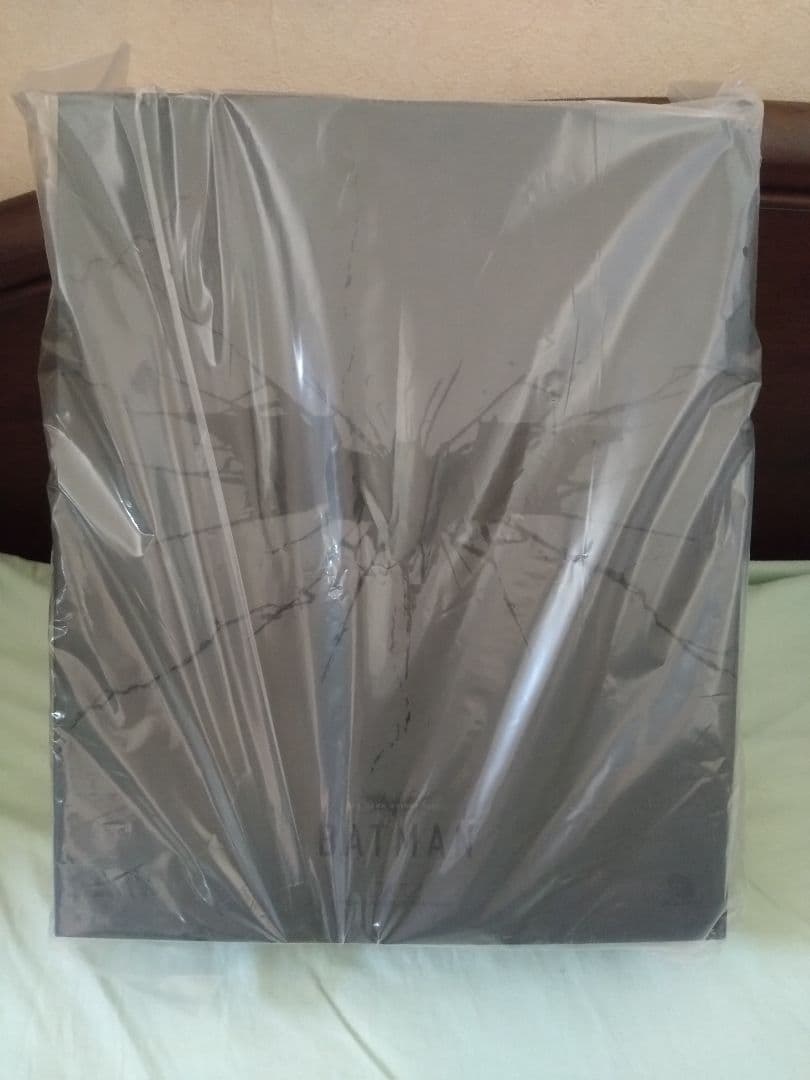 バットマン　ダークナイト・ライジング　ホットトイズ　DX13 未開封