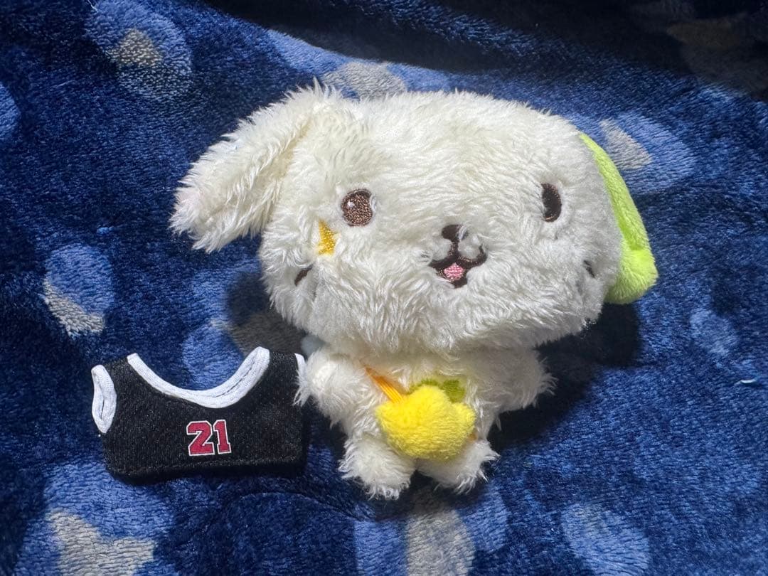 NCT WISH リョウ 론론 リョンリョン ぬいぐるみ ファンライトキーリング