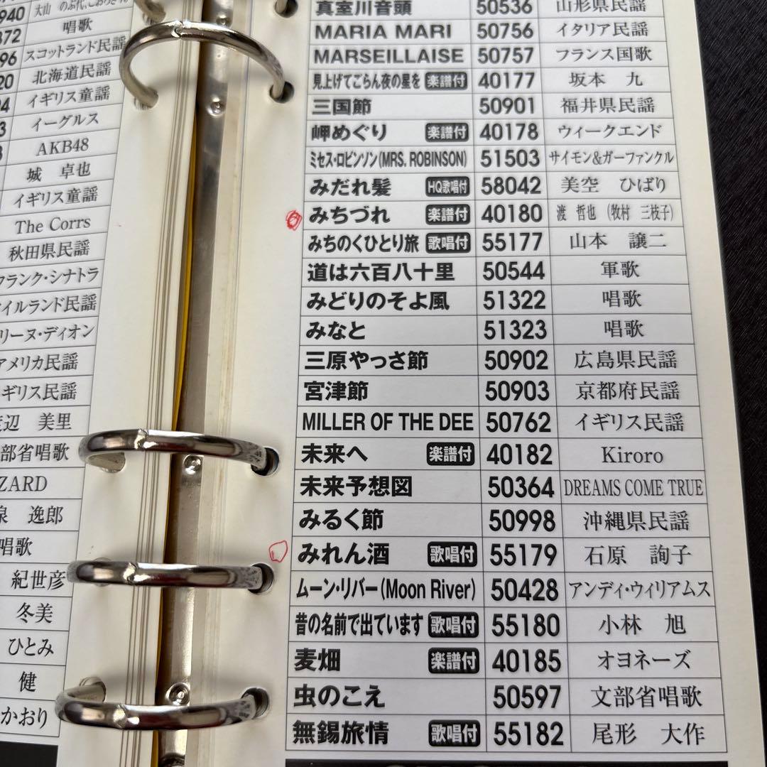 パーソナルカラオケ　オン・ステージ　ワイヤレス　　Z-PK901W