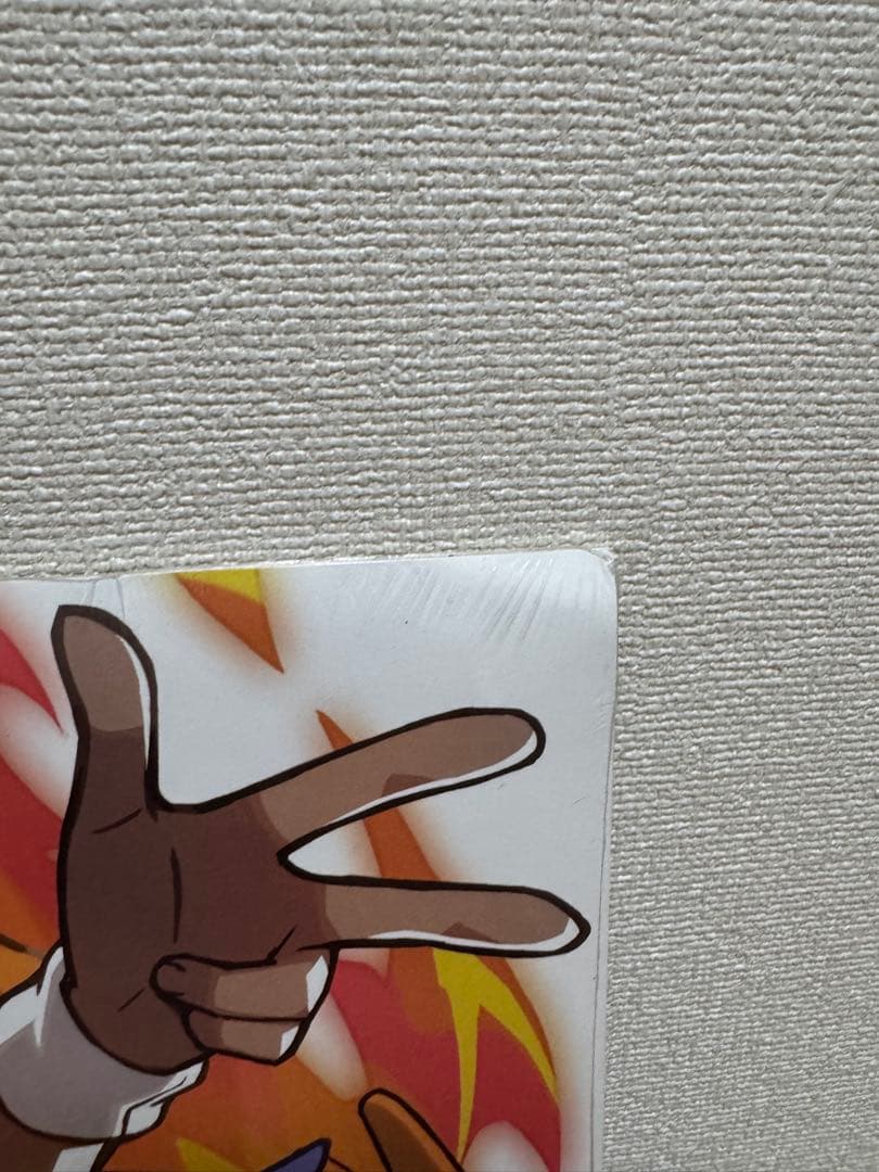 【海外ポケモンセンター限定】ポケモン トレーナーズ ポスター 24枚 セット