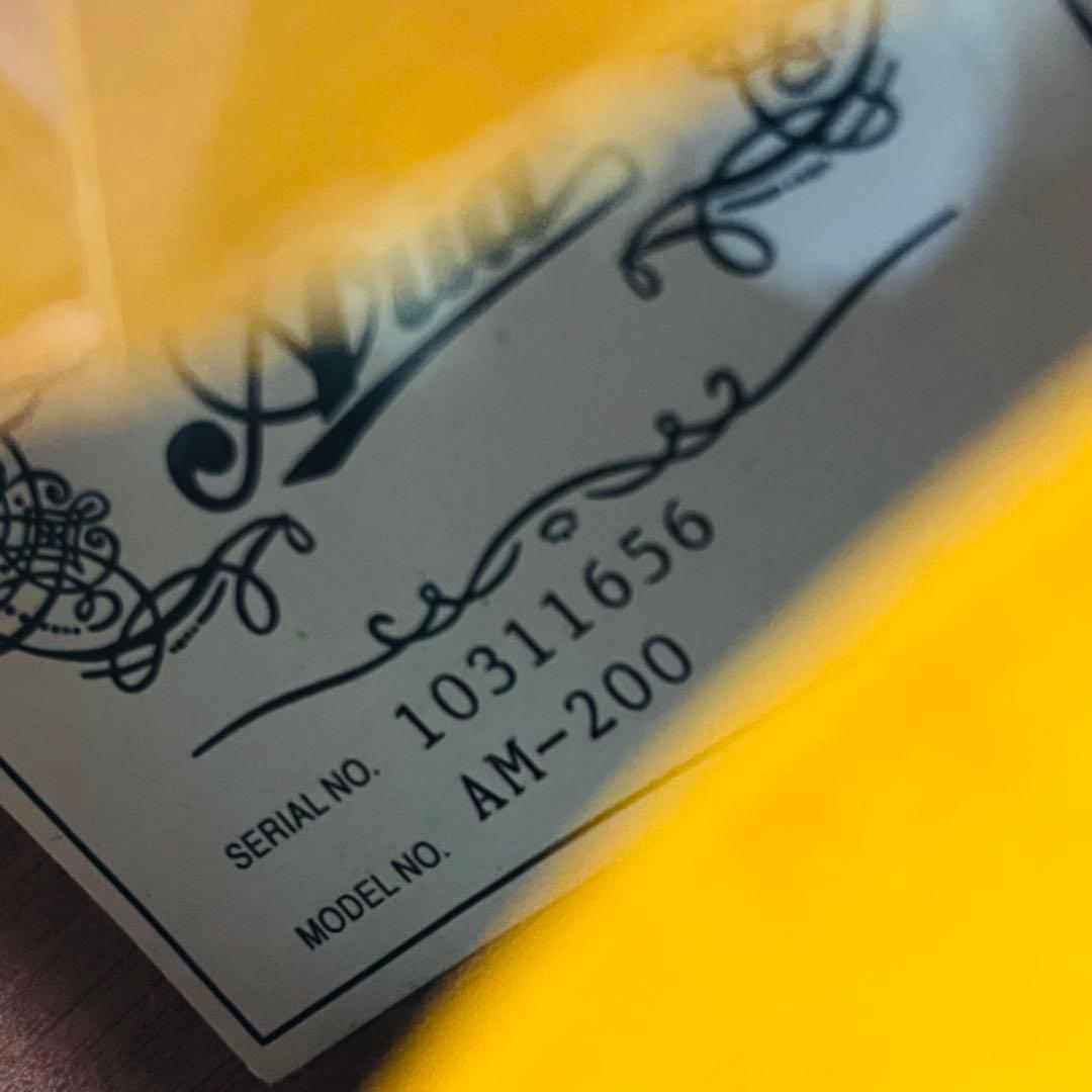 Aria アリア フラットマンドリン AM-200